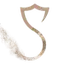SandVPN logo